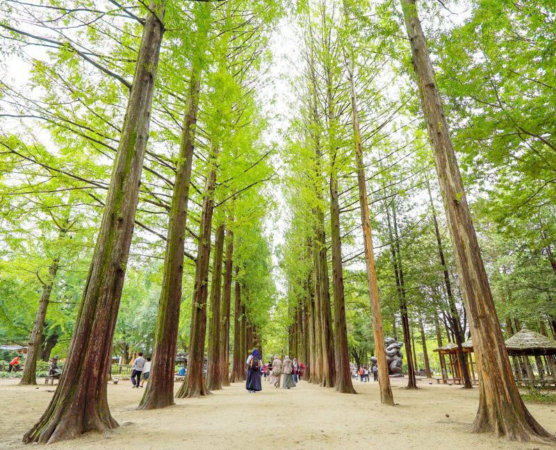 Seoul - Đảo nami - Công viên Everland - Tập làm kim chi - Mặc áo hanbok