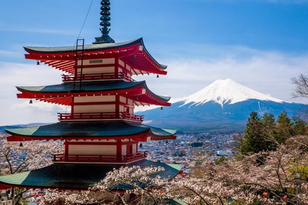 Du dịch Nhật Bản: Ngắm hoa anh đào - Tokyo - Hakone - Phú Sĩ